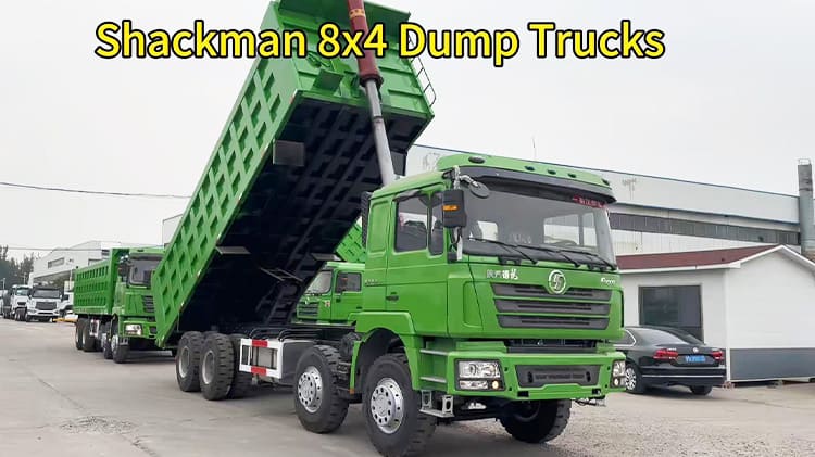 Used Dump Truck Shacman F3000 for Sale to Togo